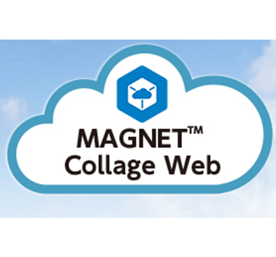 MAGNET Collage Web