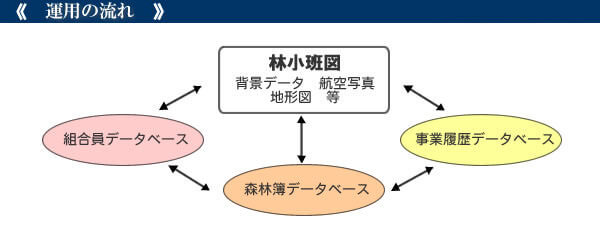 森林管理GIS 運用の流れ