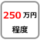 250万円程度