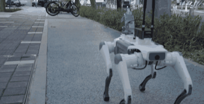 Lixel K2 Simulation